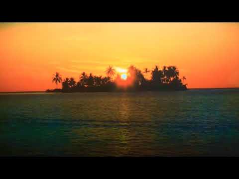 283. O PASTOR E AS OVELHAS