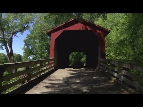 youtube embeded image