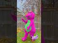️ Barney Loves To Pretend To Fly ZOOOOM Join In And Soar With This Iconic Barney Song