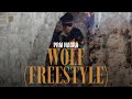 WOLF (Freestyle) OFFICIAL VIDEO - Prm Nagra | Junction 21 records | New Punjabi Song 2024