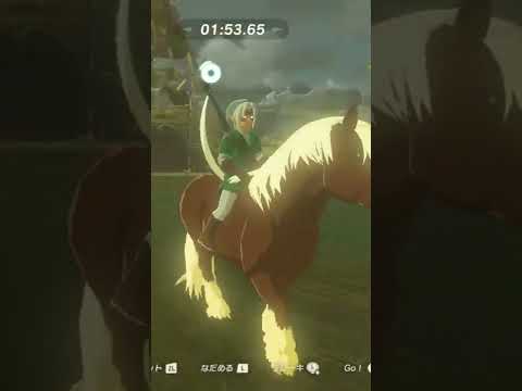 野生の馬:色を変えて生き残る?