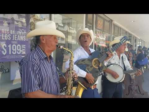 La Pava GRUPO LIBERTAD 2 DE CHIHUAHUA