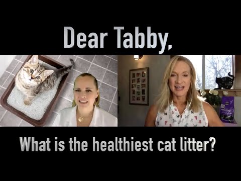 Dear Tabby Answers: What is the Healthiest Cat Litter? 😻