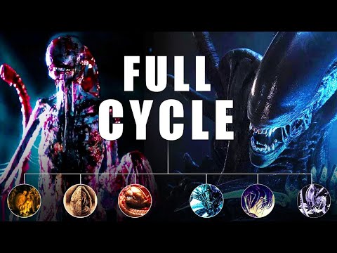 Alien Xenomorph Life Cycle Explained - Egg to Queen and Beyond