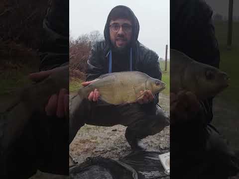 BREAM fishing, catching good size bream in the rain on the FEEDER #breamfishing #coarsefishing