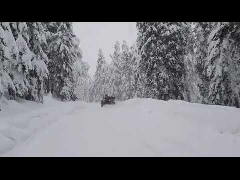 Mator ne bor / Shuajb