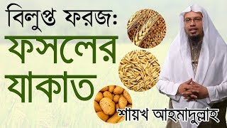 ফসলের যাকাত কী ফরজ – শায়খ আহমাদুল্লাহ