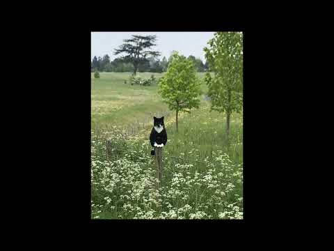 [FREE FOR PROFIT] Hyperpop x Glaive x Brakence type beat - "bioshok"