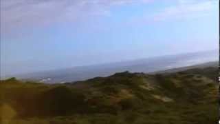 grasscut pieces ( ...of a trip)