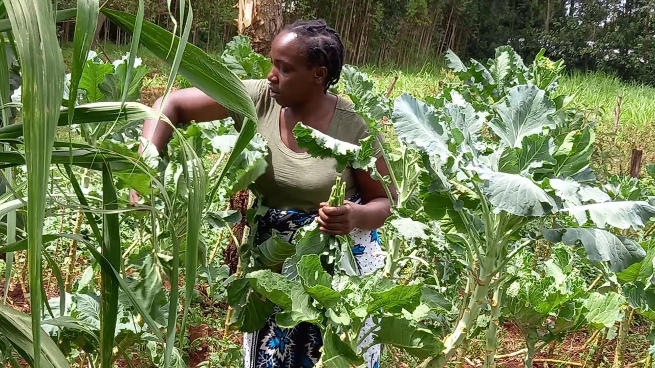 African Village Life//Cooking Most Delicious Village Vegetables