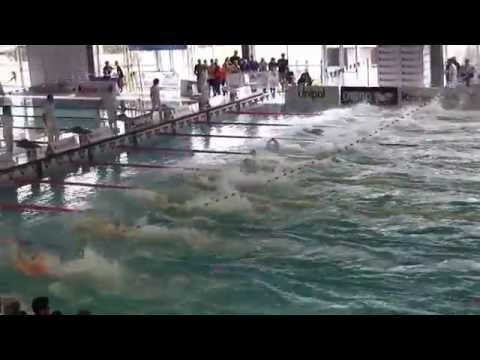 Criteria 2014  50SL Cadetti Serie 2