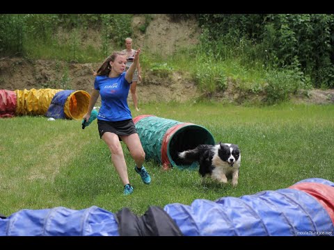 Agility training I Iziček