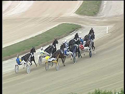 Trotto 14/10/2018 - 5ª corsa