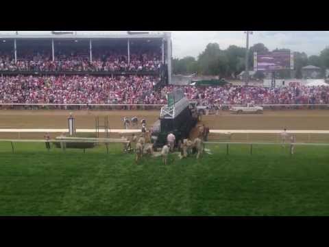 Kentucky Oaks 2013 - Turf Race - Jockey Falls Off Horse