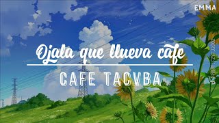 Cafe Tacvba - Ojala que llueve cafe (Letra) // Sweet Aesthetic