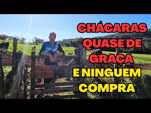 Muitas Chácaras quase de Graça e os Donos não Conseguem Vender,Entenda os Motivos/Sítio Pequeno 