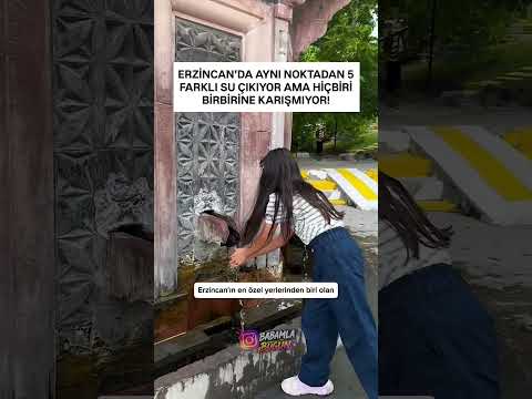 Reels Videolar