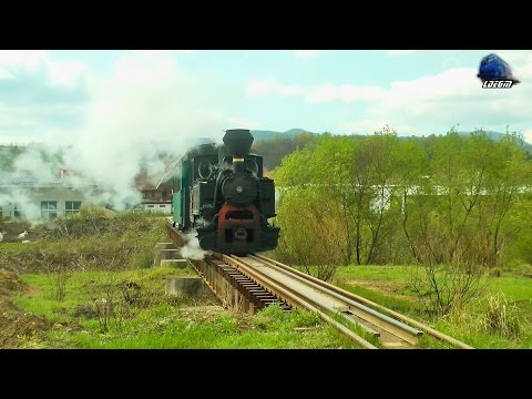 Mocănița 764-243 CFI Steam Loco Traversând Râul/Crossing Crișul Alb River în Brad - 21 April 2017