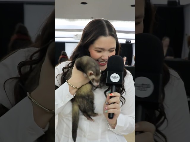 Zoo-animation | La minute UQAM