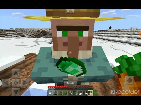 ABBIAMO SALVATO LA VITA DI UN VILLAGER!|Minecraft vanilla Ep. 1