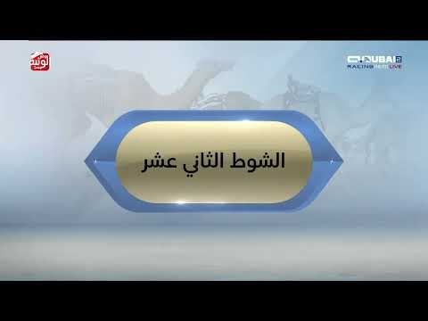 ملخص السباق , تأهيل المرموم 2025/12/14 حول زمول