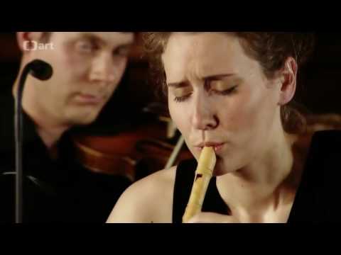 Vivaldi  Concerto for flautino in C major, RV 443 | Anna Fusek