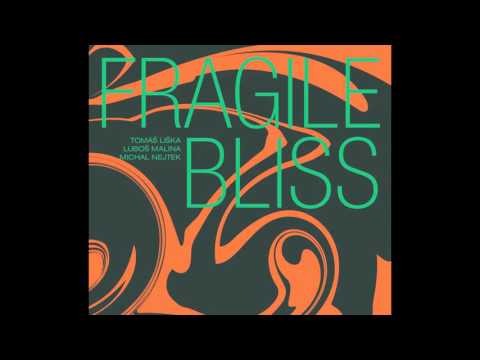 Malina Liška Nejtek - Fragile Bliss (teaser)