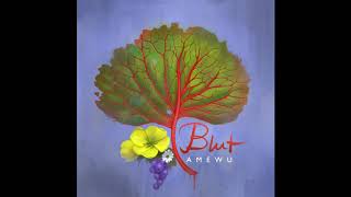 Blut Music Video