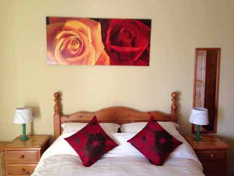 Leone - Montelparo - Italy