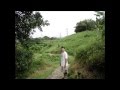 Lelo Song