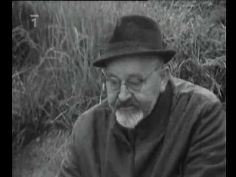 Co tomu říkáte, pane Werich? (1/9)