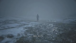 再びイーサンに会いに行くバイオヴィレッジ　その19