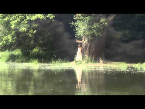 Husnullina Regina - Love and Silence