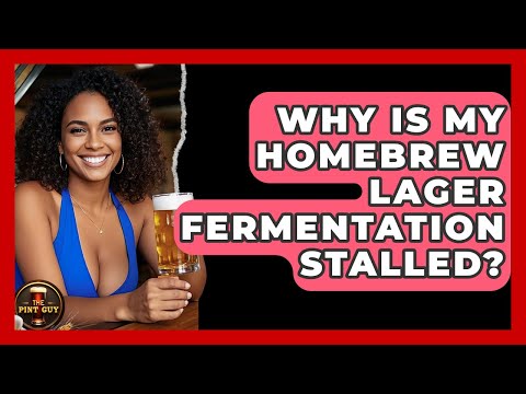 Why Is My Homebrew Lager Fermentation Stalled? - The Pint Guy