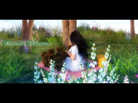 Povestea unui om lenes