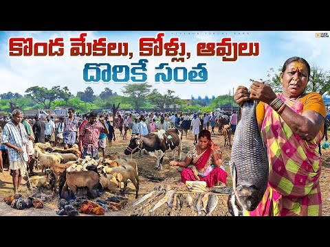 Nereduvalasa weekly market || nereduvalasa weekly market || nereduvalasa santha