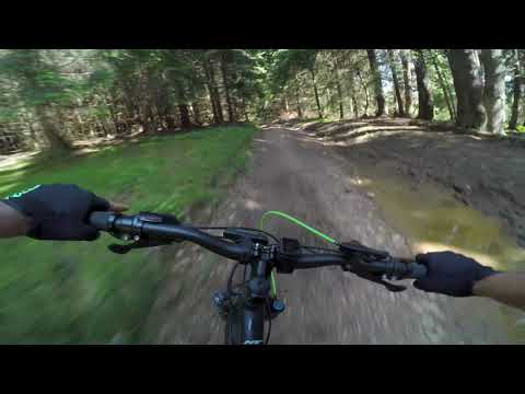 Tura Valea Vadului - S. Muntele Baaisorii - M. Bocului - M.Filii - Moare de Pădure (Patrea II)