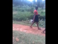 Matako Matamu