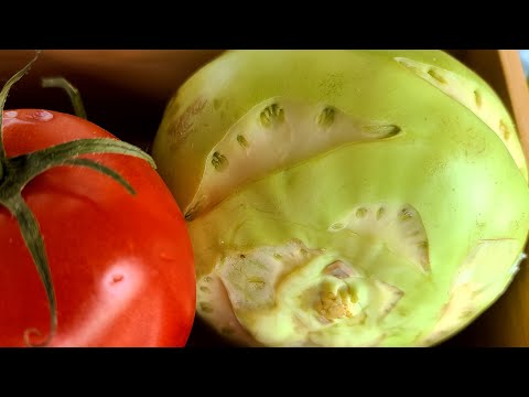 HOW TO MAKE KOHLRABI-THE BEST RECIPE TO MAKE KOHLRABI(vegans and vegetarians)