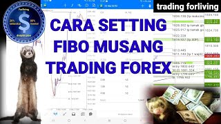 Download lagu Cara Setting Fibonacci Retracement Menjadi Fibo Musang #TradingForex mp3