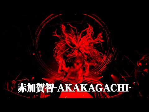 NEMOPHILA / 赤加賀智-AKAKAGACHI-