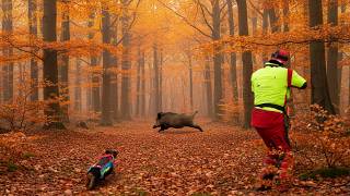 ACHTUNG Sauen an der Straße - Drückjagd auf Schwarzkittel 2025 (DJI Matrice 4T)