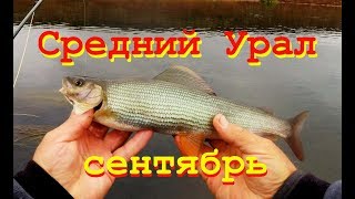 Река иргина пермского края рыбалка