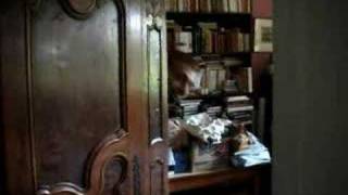 Aurelien the retard Satanic Surfers