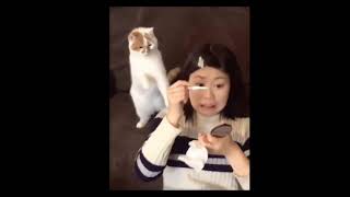 Funny Animals Video Compilation to Laugh - Part 2