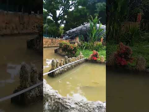 parque principal de Morelia caquetá ❤️ #automobile #nature #travel