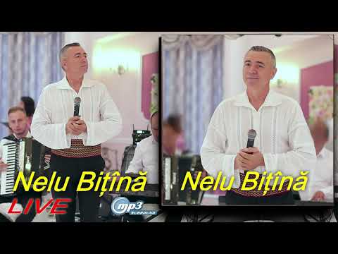 NELU BITINA ► Colaj Ascultari, Hore, Sarbe de Joc - Muzica de Petrecere si Voie Buna 2021