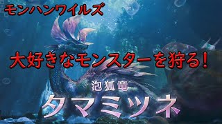 【モンハンワイルズ】　大好きなタマミツネを倒したい！　ゲーム実況　ライブ配信　4月4日　Monster Hunter Wilds