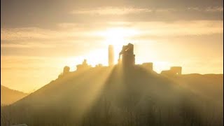 The Woodland Chronicles – Week 11