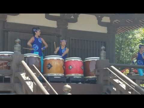 Matsuriza Taiko Drummers